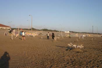 IMG_1168