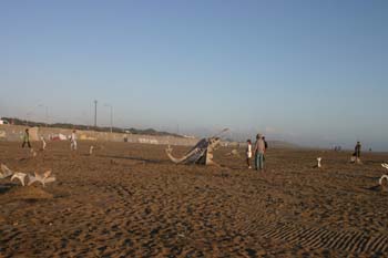 IMG_1169