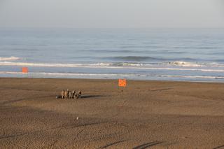 2012-10-02 18:58:30