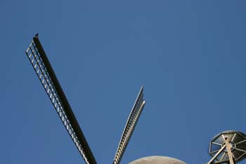 IMG_1125